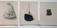 PERFORMANCE, POP, AND VIDEO ART IN ART SINCE THE 1960S: CALIFORNIA EXPERIMENTS AT OCMA 15 July 2007 &ndash; 14 September 2008. fig.: Lorna Simpson "Wigs" (Portfolio), 1994, Waterless lithographs on felt, Collection of the Orange County Museum of Art