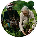 The US label supports the Rebirth the Earth project in Tansania with the Jane Goodall campaign in over 70 countries. You can be part of the campaign by buying a Gant "hope" bag made of organic cotton. Let around 25 trees grow in the forests of Gombe in Tanzania with one bag! ...