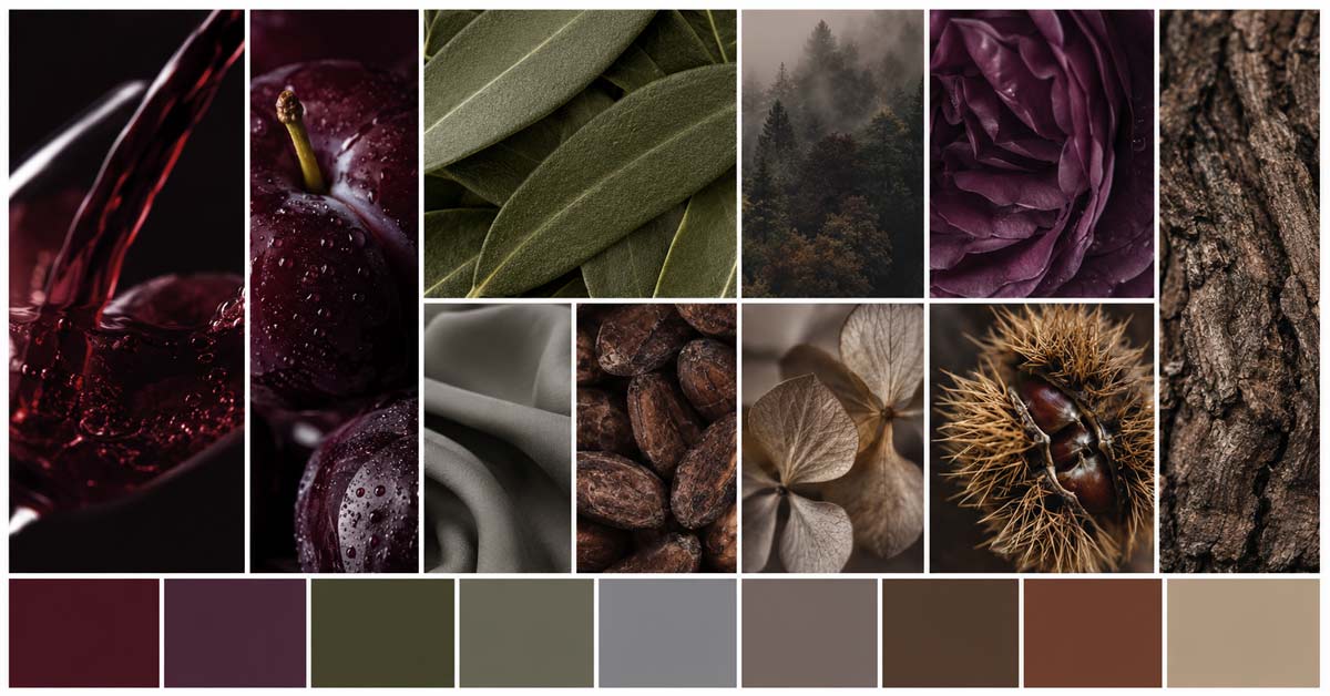 Autumn/winter colour mood board with wine red, plum, olive, grey and brown tones, shown through fruit, foliage, woodland textures and natural forms.