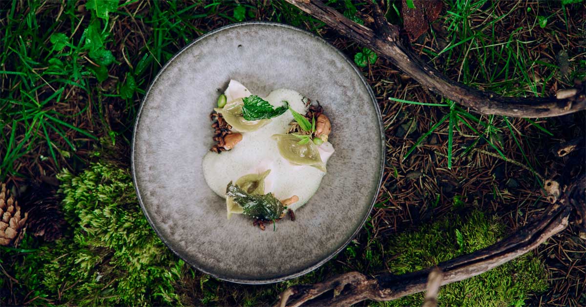 Plated gourmet dish with elderflower and nettle, placed on forest ground with moss and branches.