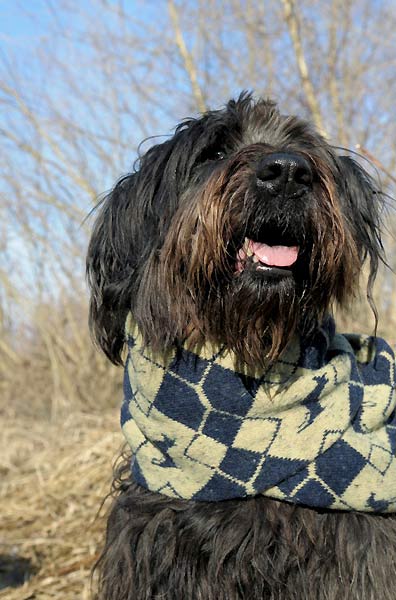 fig.: Terrier scarf from the Deer knitgoods collection, designed by Michaela Irmscher. Photo: (C) Anja Tanner