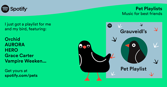 Spotify s new playlist tool takes inspiration by your pet