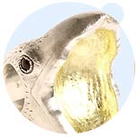 Zoe Kendall SS09 Unisex art-jewellery designer Zoe Kendrall invites to a 'Voyage To The ‘Dead Deep’, if you dare…' at the London Jewellery Week. In cooperation with illustrator Ted Pearce and the jewellery store Kabiri, Zoe is working on the presentation of an alternative vision for the future of jewellery, art and our globe!